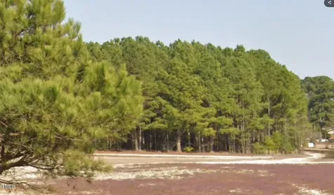 Parcel #3 Bob Lee Lane Dunn NC 28334