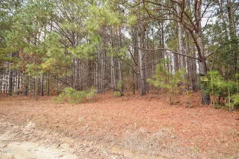 Parcel #3 Bob Lee Lane Dunn NC 28334
