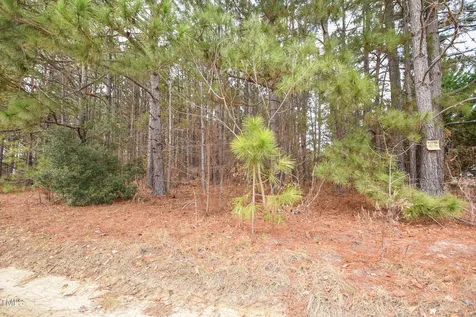 Parcel #3 Bob Lee Lane Dunn NC 28334