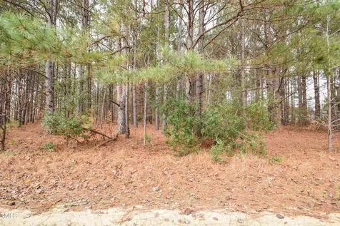 Parcel #3 Bob Lee Lane Dunn NC 28334