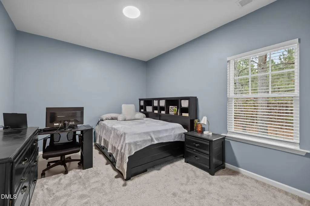 204 Smoky Emerald Way Holly Springs NC 27540