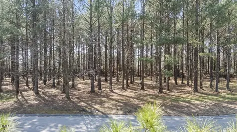 121 W Grandiflora Drive Wallace NC 28466