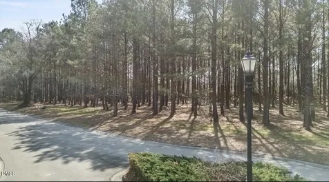 121 W Grandiflora Drive Wallace NC 28466