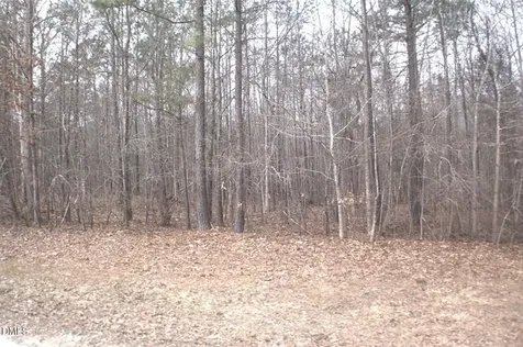 0 Martin Pond Road Wendell NC 27591