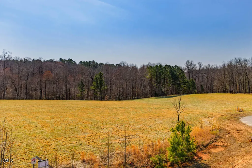 Lot 14 Secretariat Court Chapel Hill NC 27516