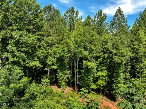 5310 Langdon Drive Oxford NC 27565