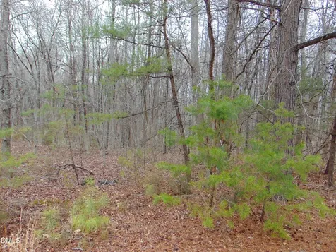 0 Fowlkes Road Pelham NC 27311