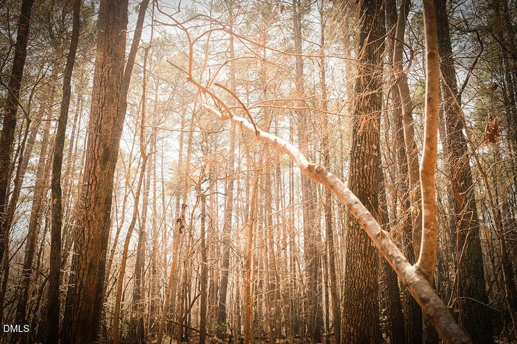 000 Ferguson Road Chapel Hill NC 27516