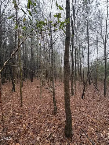 0 Glosson Road Siler City NC 27344
