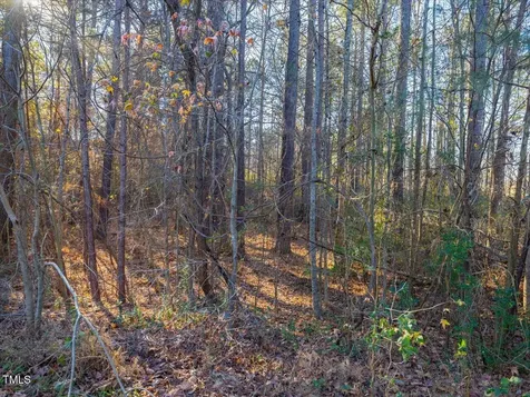 130 Bur Oak Court Pittsboro NC 27312