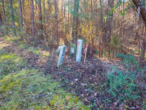 130 Bur Oak Court Pittsboro NC 27312
