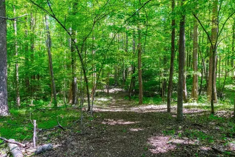 170 Walker Run Selma NC 27576