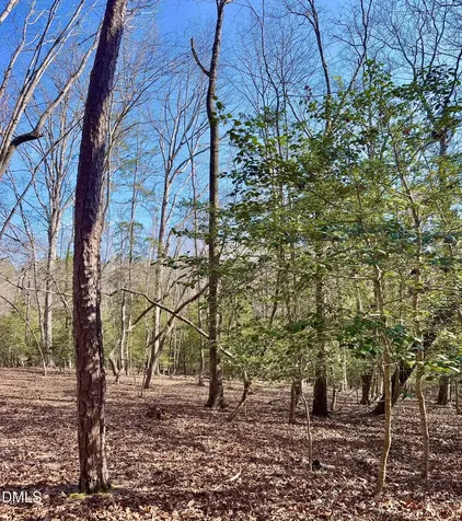 2046 Treetop Circle Sanford NC 27332