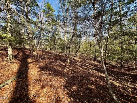2046 Treetop Circle Sanford NC 27332