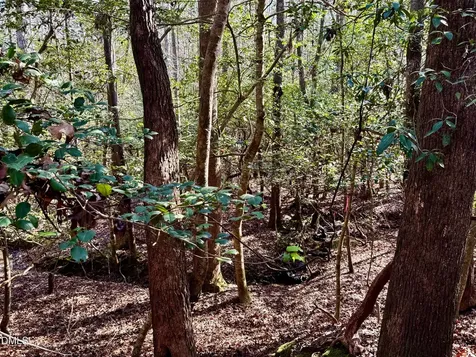 2046 Treetop Circle Sanford NC 27332