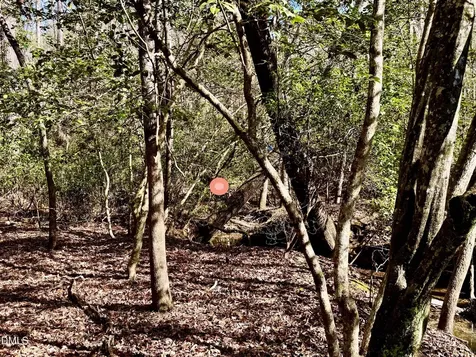 2046 Treetop Circle Sanford NC 27332