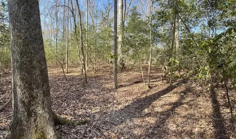 2046 Treetop Circle Sanford NC 27332