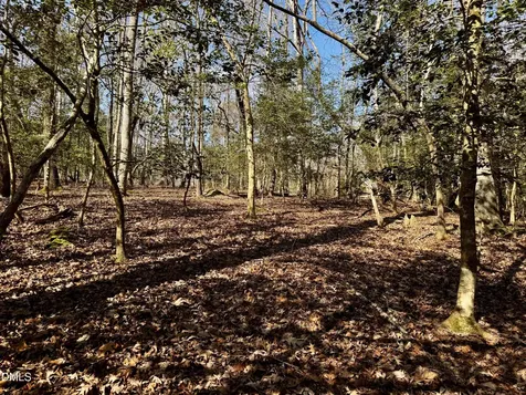 2046 Treetop Circle Sanford NC 27332