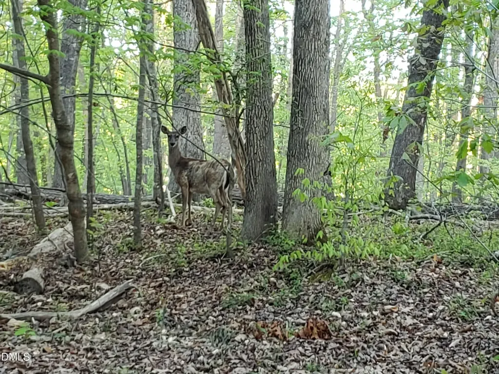 Lot 2 Deer Run Trail Hillsborough NC 27278