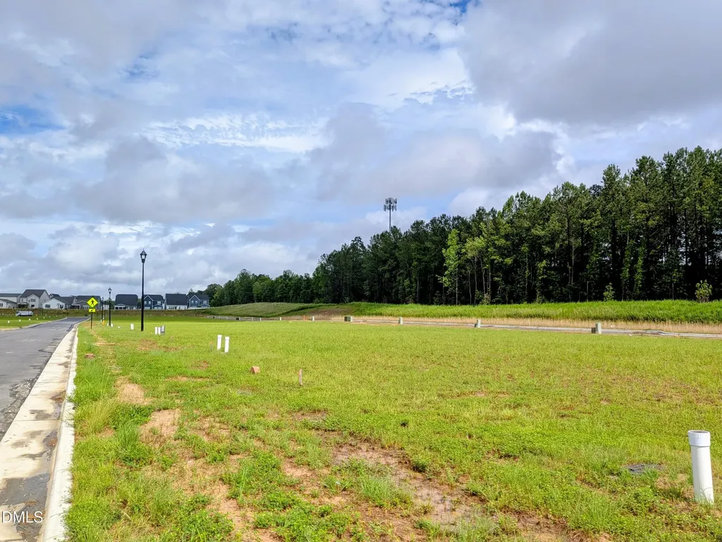 1816 Avett Song Place Wendell NC 27591