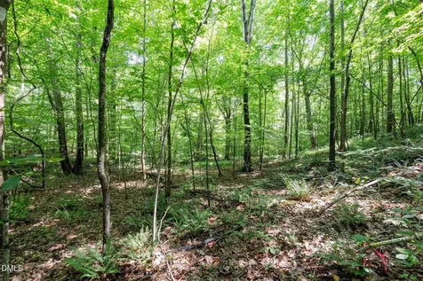 6910 Long Meadow Lane Whitsett NC 27377