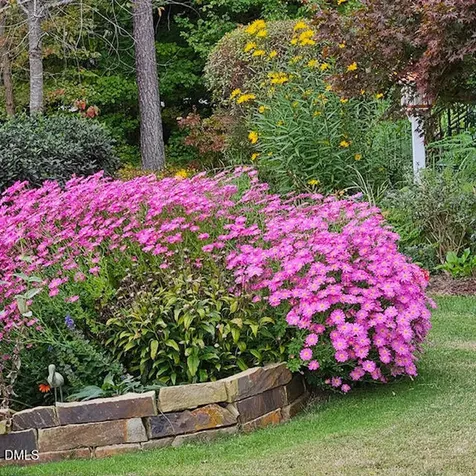 8409 Passage Marseille Court Raleigh NC 27615