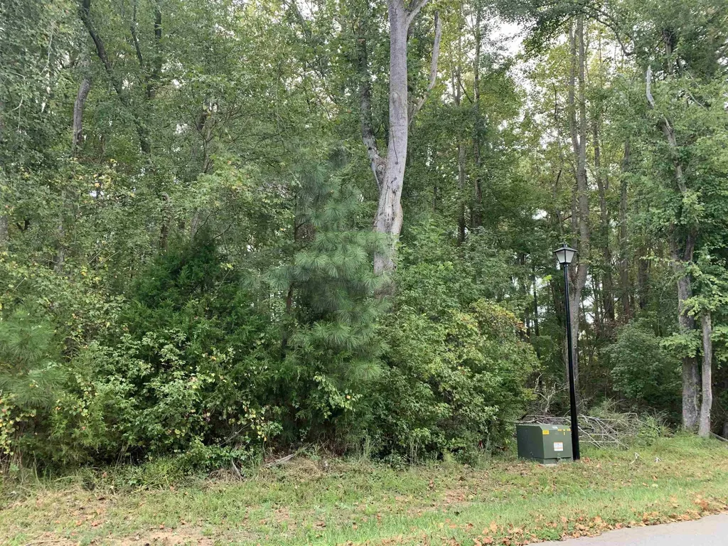 4551 Ashley View Lane Oxford NC 27565