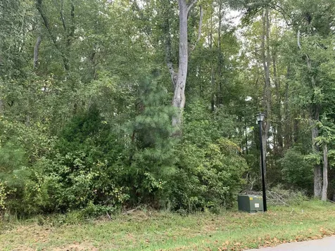 4551 Ashley View Lane Oxford NC 27565