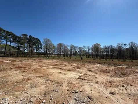 764 Olive Branch Drive Smithfield NC 27577