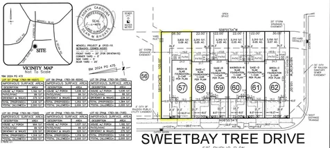 329 Sweetbay Tree Drive Wendell NC 27591