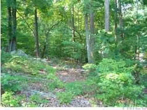 56706 Nash Chapel Hill NC 27517