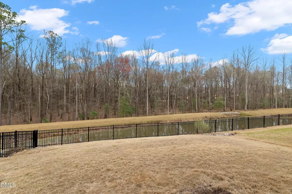 154 Anise Tree Way Clayton NC 27527