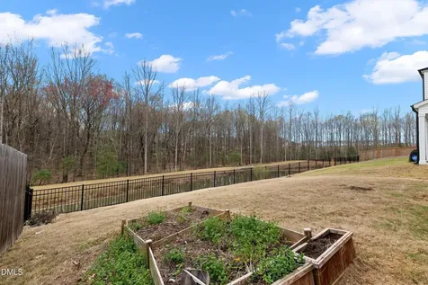 154 Anise Tree Way Clayton NC 27527