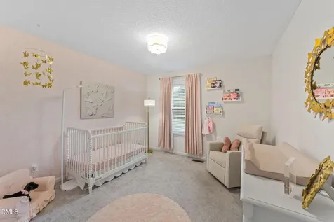 717 Slippery Bank Court Benson NC 27504