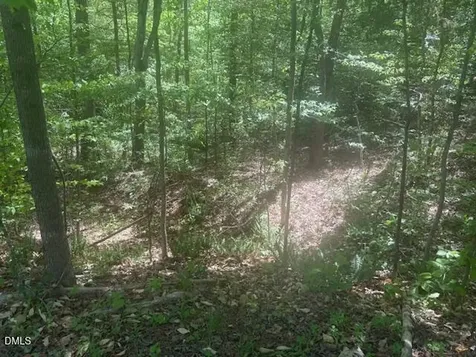 4050 Oak Ridge Court Franklinton NC 27525