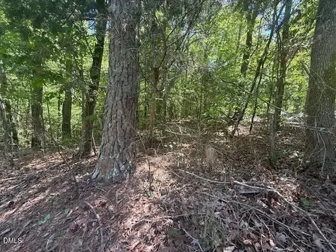 4050 Oak Ridge Court Franklinton NC 27525