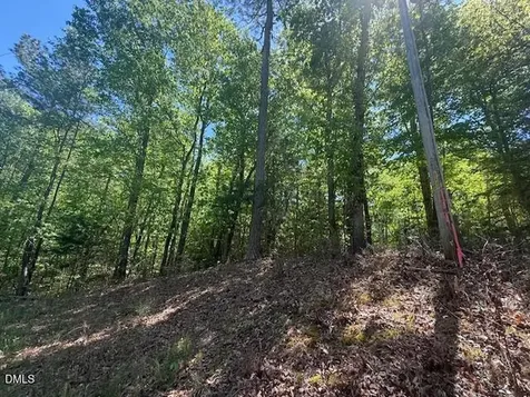 4050 Oak Ridge Court Franklinton NC 27525