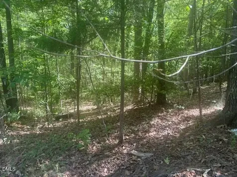 4050 Oak Ridge Court Franklinton NC 27525
