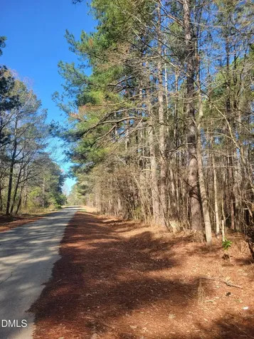 0 N Richardson Road Siler City NC 27344
