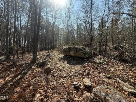 1739 Moulton Road Louisburg NC 27549