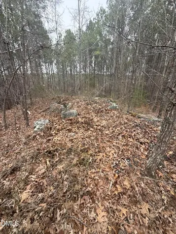 1739 Moulton Road Louisburg NC 27549