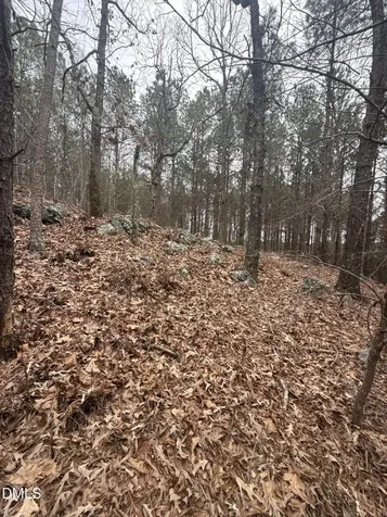 1739 Moulton Road Louisburg NC 27549