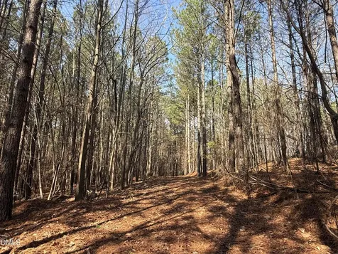 1739 Moulton Road Louisburg NC 27549