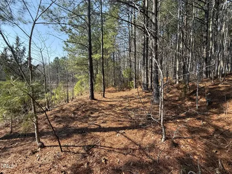 1739 Moulton Road Louisburg NC 27549
