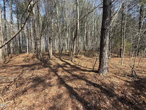 1739 Moulton Road Louisburg NC 27549