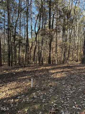 0 Laurel Court Littleton NC 27850