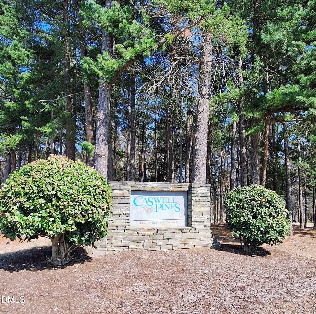 54 Caswell Pines Clubhouse Drive Blanch NC 27212