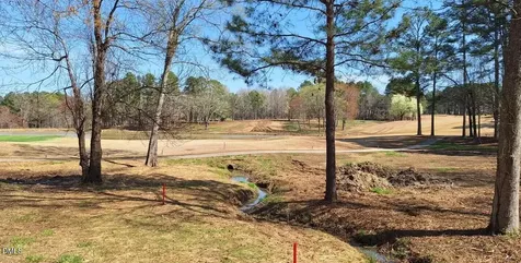 54 Caswell Pines Clubhouse Drive Blanch NC 27212