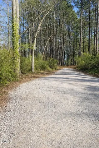 207 Baldy Murphy Road Louisburg NC 27549