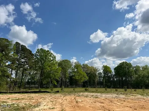 786 Olive Branch Drive Smithfield NC 27577